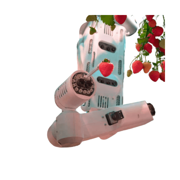 Strawberry Picking Robot view 2