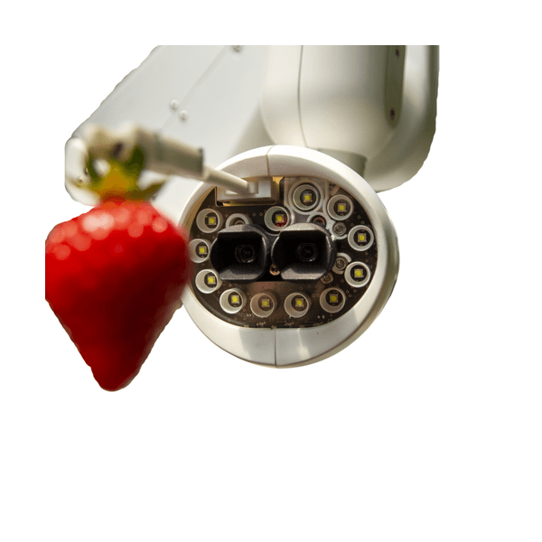 Strawberry Picking Robot view 3