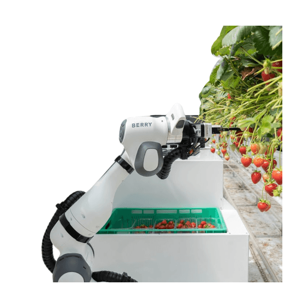 Strawberry Picking Robot