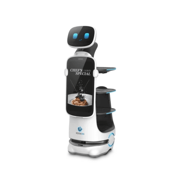 Dinerbot T10