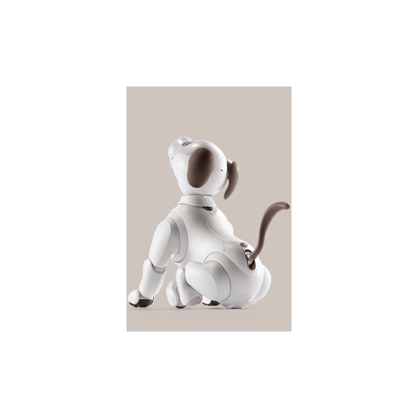aibo ERS-1000 by Sony | roboTED | roboTED